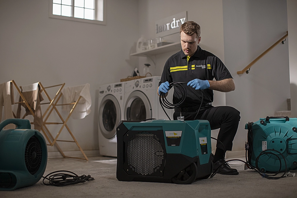 tech setting up air movers in basement